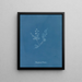 Polysiphonia Brodiaei Partie X - Anna Atkins — oprawiony obraz na ścianie