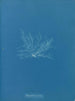 Polysiphonia fibrata - Anna Atkins — widok dzieła