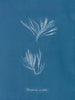 Polysiphonia urceolata - Anna Atkins — widok dzieła