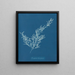Sargassum bacciferum - Anna Atkins — oprawiony obraz na ścianie