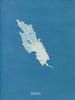 Ulva linza - Anna Atkins — widok dzieła