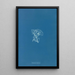 Reprodukcja obrazu Vaucheria racemosa - Anna Atkins