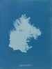 Zygnema courbé - Anna Atkins — widok dzieła