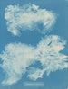 Dîmes de Zygnema - Anna Atkins — widok dzieła