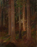Las - Anna Berent — widok dzieła