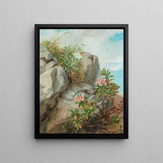 Anna StainerKnittel - Alpine Roses.webp