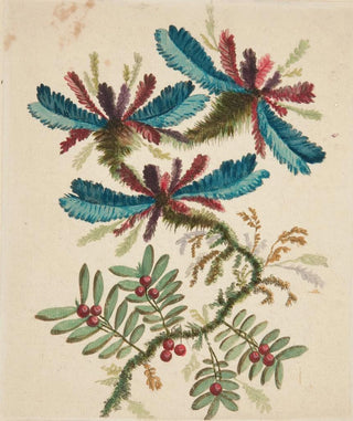 Anne Allen - Fantastic Flowers.webp