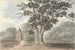 Dąb królowej Elżbiety w pobliżu Finborough Hall 31 lipca 1824 - Anne Rushout — widok dzieła