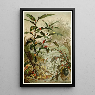 Anonymous - Beetles in a flood.webp