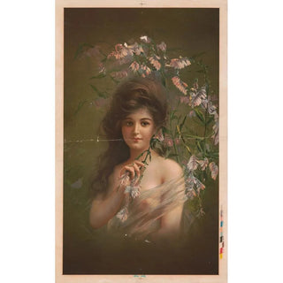 Jacinthes des bois - Anonim — widok dzieła