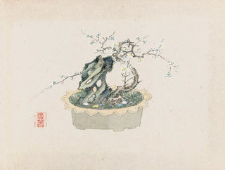 Anonymous - Bonsai kabenzu Pl06.webp