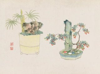 Anonymous - Bonsai kabenzu Pl23.webp