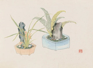 Anonymous - Bonsai kabenzu Pl26.webp