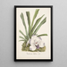 Reprodukcja obrazu Kolekcja orchidei Pl09 - Anonimowy