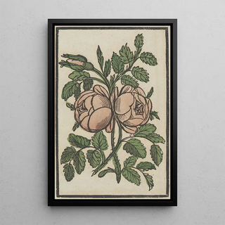 Reprodukcja obrazu Fleur - Anonimowy