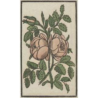Reprodukcja obrazu Fleur - Anonimowy