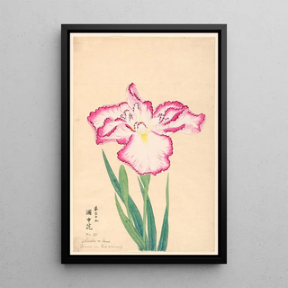 Anonymous - Flower in the Wine Cup Shuchu no Hana.webp