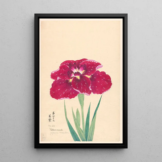 Anonymous - Japanese Cleopatra Wakamurasaki.webp