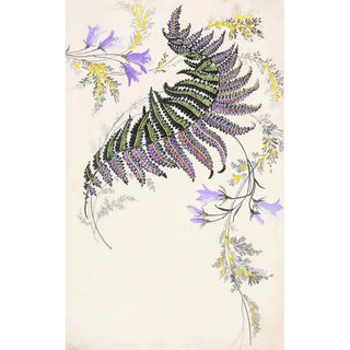 Anonymous - Large featherlike leaf formation in black green purple and gold.webp