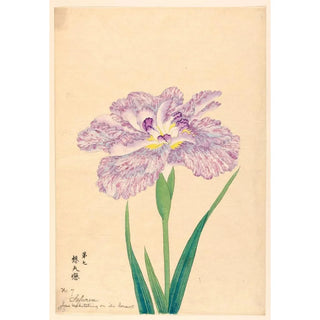 Anonymous - Love Meditating on Its Consort Sofuren.webp