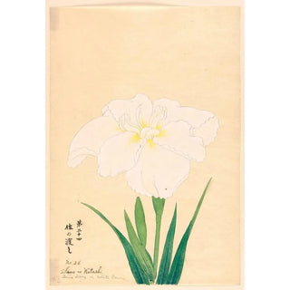 Anonymous - Sano no Watshi Sano Ferry or White Dawn.webp