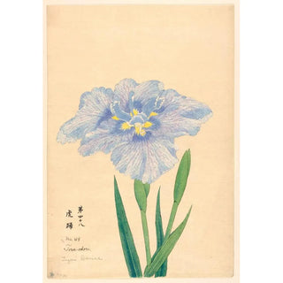 Anonymous - Tigers Dance ToraOdori.webp