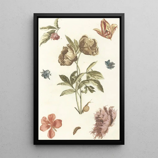 Anonymous - Verschillende bloemen en een rups.webp