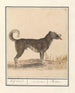 rodziny wilków Hond Canis HofHond Molossus Mtin - Anselmus Botius de Boodt — widok dzieła