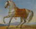 Le cheval arabe de Bonaparte Marengo - Antoine-Jean Gros — widok dzieła