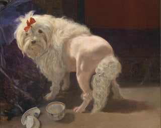 Anton Schrdl - Die zerbrochene Schale.webp