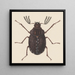Aquarelle d'entomologie Pl058 - George Hudson — oprawiony obraz na ścianie
