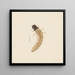 Aquarelle d'entomologie Pl083 - George Hudson — oprawiony obraz na ścianie