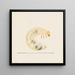 Aquarelle d'entomologie Pl087 - George Hudson — oprawiony obraz na ścianie