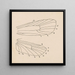 Aquarelle d'entomologie Pl163 - George Hudson — oprawiony obraz na ścianie