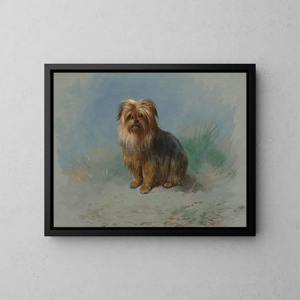 Un terrier de Norfolk - Archibald Thorburn — oprawiony obraz na ścianie