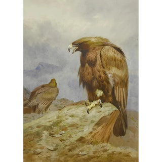 Archibald Thorburn - A Pair Of Golden Eagles.webp