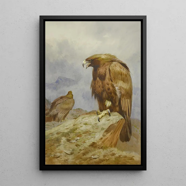 Para orłów królewskich - Archibald Thorburn — oprawiony obraz na ścianie