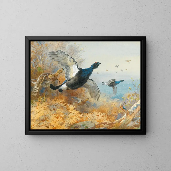 Czarna kura z przodu - Archibald Thorburn — oprawiony obraz na ścianie