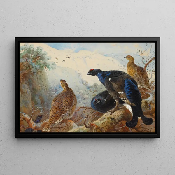 Wielka kura - Archibald Thorburn — oprawiony obraz na ścianie