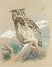 Wielki puszczyk - Archibald Thorburn — widok dzieła