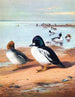 Œil d'or - Archibald Thorburn — widok dzieła