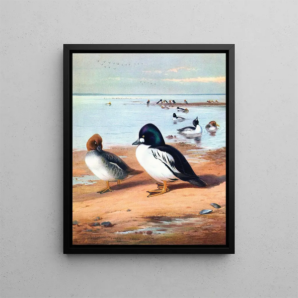 Œil d'or - Archibald Thorburn — oprawiony obraz na ścianie
