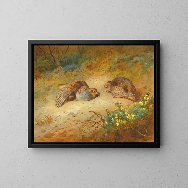 Szarańczak szary - Archibald Thorburn — oprawiony obraz na ścianie