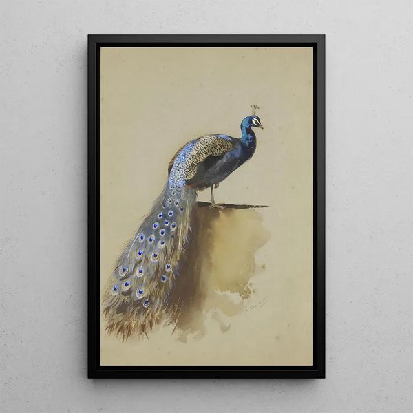 Reprodukcja obrazu Paw - Archibald Thorburn
