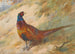 Pawiak - Archibald Thorburn — widok dzieła