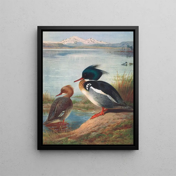 Harle huppé - Archibald Thorburn — oprawiony obraz na ścianie