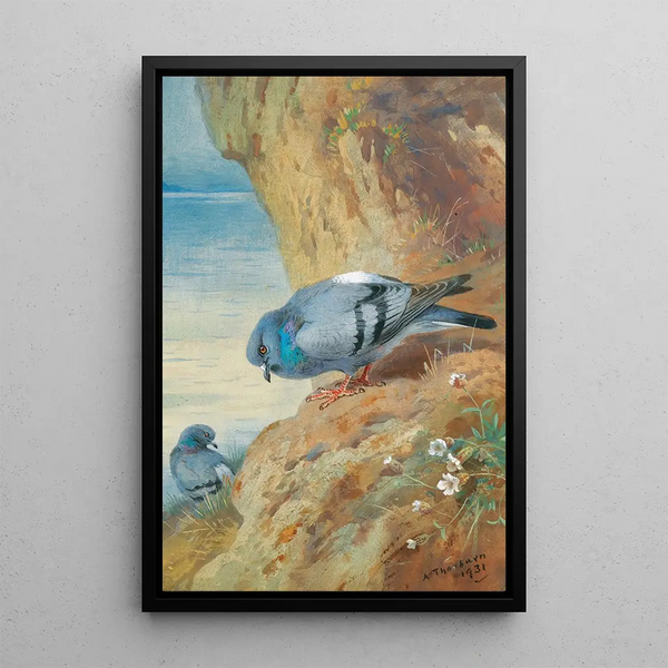 gołębi bisetów - Archibald Thorburn — oprawiony obraz na ścianie