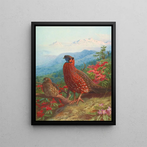 Le Satyre tragopan - Archibald Thorburn — oprawiony obraz na ścianie