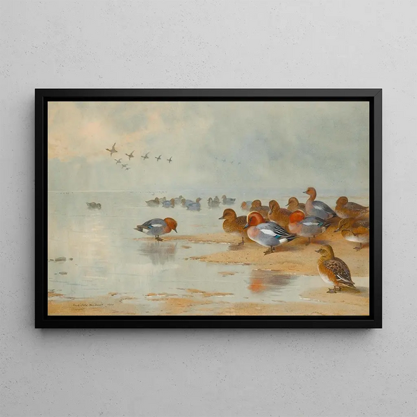 Sarcelle et canard siffleur au bord de l'eau - Archibald Thorburn — oprawiony obraz na ścianie