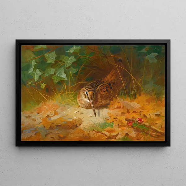 Bécasse - Archibald Thorburn — oprawiony obraz na ścianie